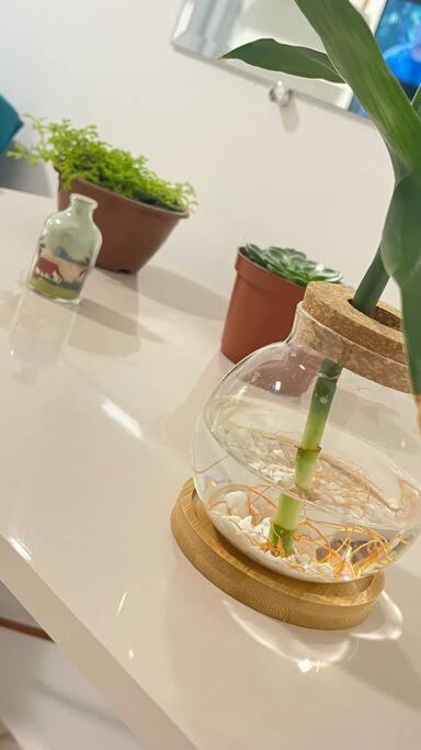 Apartamento No Andar Terreo 포스두이구아수 외부 사진